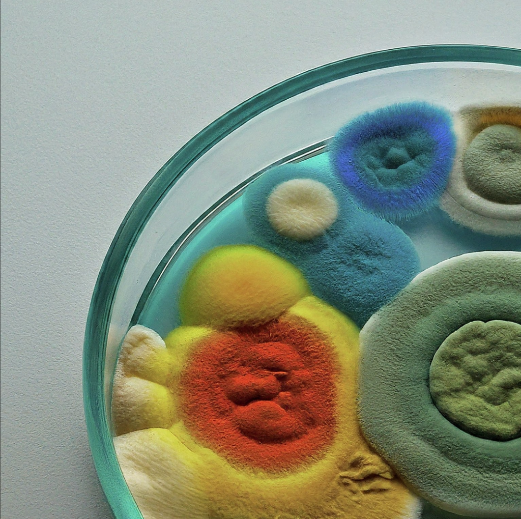 week 4: colors of&nbsp;me